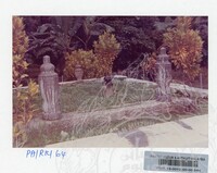 KOLEKSI PAMERAN RAJA KITA 1989 B