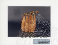 PAMERAN PERHIASAN PAKAIAN KEPALA