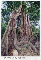 SURVEI KAWASAN SEKITAR TASIK CHINI DAN PENEMPATAN PENDUDUK ORANG ASLI YANG MENGHUNI SEKITAR KAWASANNYA PADA 27 OKTOBER 2002