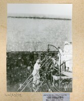 SEJARAH KOLEKSI JOHOR