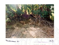 ARKEOLOGI SG. MAS, KEDAH SM: 32-5/ 93 VOL: 1 W