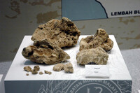 GALERI A (Sejarah Awal)