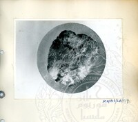 BAHAN PURBA LEMBAH BUJANG, KEDAH 1 (ETNOLOGI)