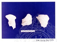 ARKEOLOGI SG. MAS, KEDAH SM: 32-8/ 95 (JILID 3) (WARNA)